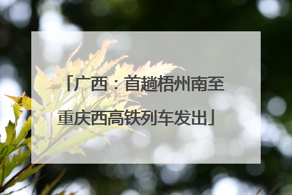广西：首趟梧州南至重庆西高铁列车发出