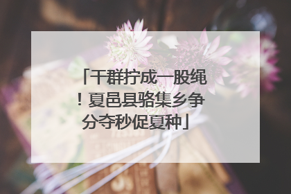 干群拧成一股绳！夏邑县骆集乡争分夺秒促夏种