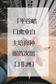 平谷峪口禽业自主培育种蛋首次出口非洲
