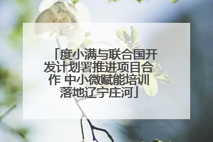 度小满与联合国开发计划署推进项目合作 中小微赋能培训落地辽宁庄河