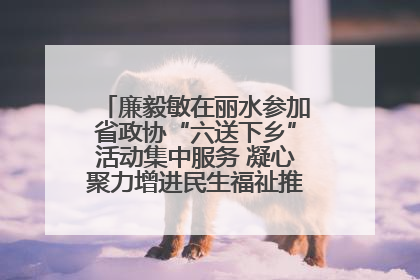 廉毅敏在丽水参加省政协“六送下乡”活动集中服务 凝心聚力增进民生福祉推进共同富裕