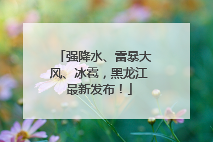 强降水、雷暴大风、冰雹，黑龙江最新发布！