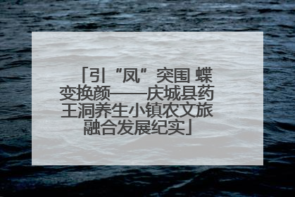 引“凤”突围 蝶变换颜——庆城县药王洞养生小镇农文旅融合发展纪实