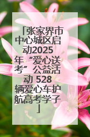 张家界市中心城区启动2025年“爱心送考”公益活动 528辆爱心车护航高考学子