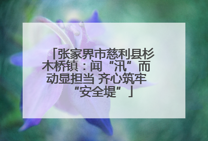 张家界市慈利县杉木桥镇：闻“汛”而动显担当 齐心筑牢“安全堤”