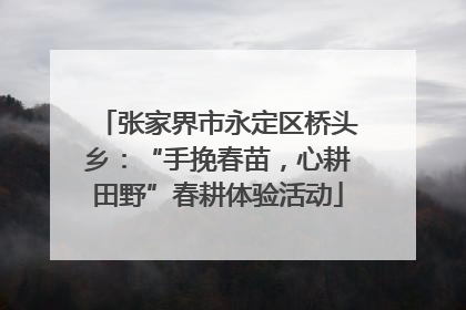 张家界市永定区桥头乡：“手挽春苗，心耕田野”春耕体验活动