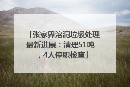 张家界溶洞垃圾处理最新进展：清理51吨，4人停职检查