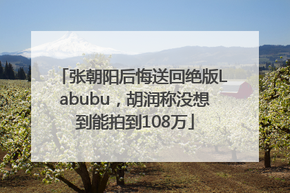 张朝阳后悔送回绝版Labubu，胡润称没想到能拍到108万