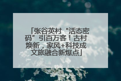 张谷英村“活态密码”引百万客！古村焕新，家风+科技成文旅融合新爆点