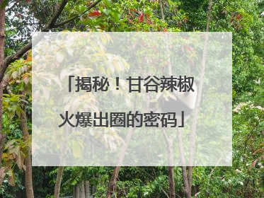 揭秘！甘谷辣椒火爆出圈的密码
