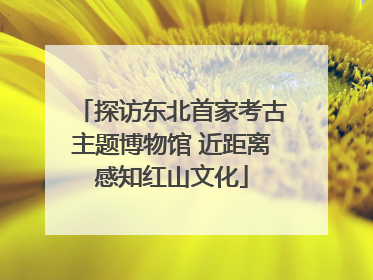 探访东北首家考古主题博物馆 近距离感知红山文化