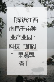 探访江西南昌千亩种业产业园：科技“加码” 果蔬飘香