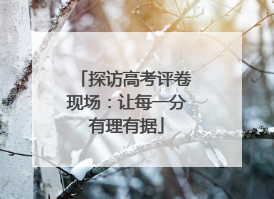 探访高考评卷现场：让每一分有理有据