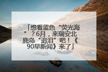 想看蓝色“荧光海”？6月，来瑞安北麂岛“追泪”吧！《90早新闻》来了