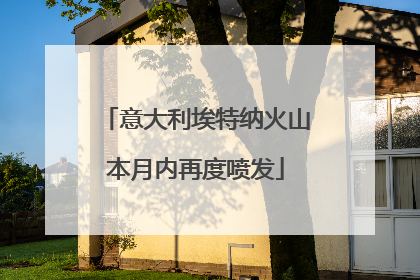 意大利埃特纳火山本月内再度喷发