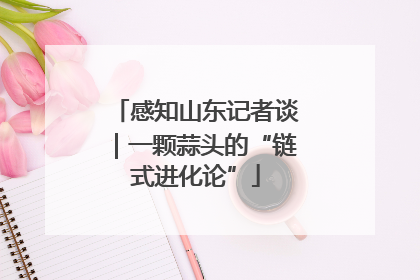 感知山东记者谈｜一颗蒜头的“链式进化论”