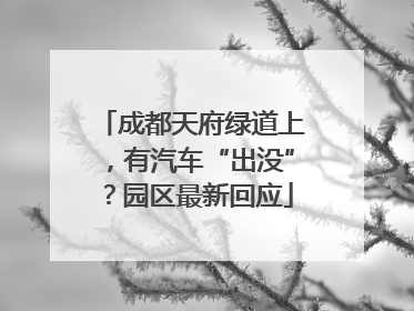 成都天府绿道上，有汽车“出没”？园区最新回应