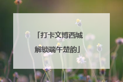打卡文博西城 解锁端午楚韵