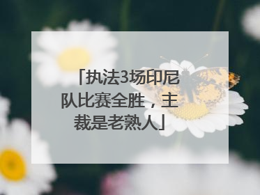 执法3场印尼队比赛全胜，主裁是老熟人