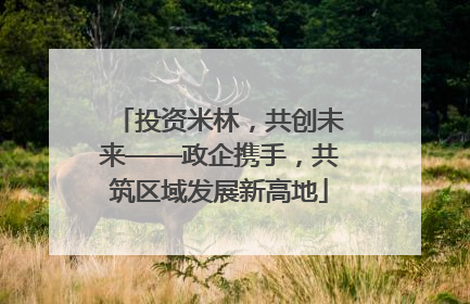 投资米林，共创未来——政企携手，共筑区域发展新高地