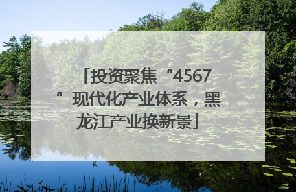 投资聚焦“4567”现代化产业体系，黑龙江产业换新景