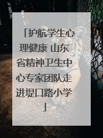 护航学生心理健康 山东省精神卫生中心专家团队走进堤口路小学