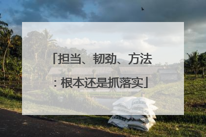 担当、韧劲、方法：根本还是抓落实