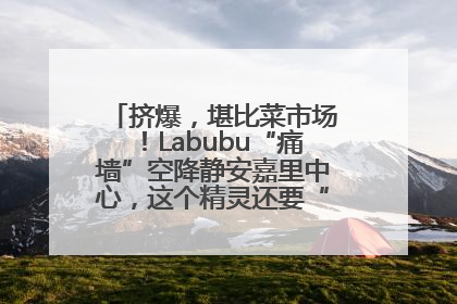 挤爆，堪比菜市场！Labubu“痛墙”空降静安嘉里中心，这个精灵还要“突袭”便利店？
