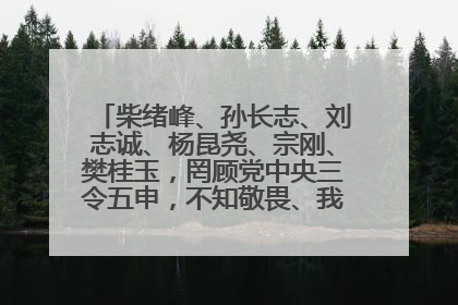 柴绪峰、孙长志、刘志诚、杨昆尧、宗刚、樊桂玉，罔顾党中央三令五申，不知敬畏、我行我素、肆意妄为！