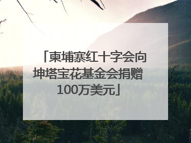 柬埔寨红十字会向坤塔宝花基金会捐赠100万美元