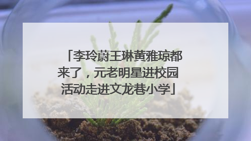 李玲蔚王琳黄雅琼都来了，元老明星进校园活动走进文龙巷小学