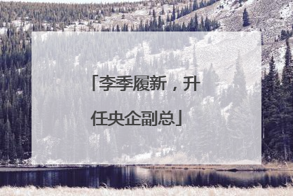 李季履新，升任央企副总