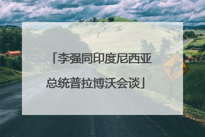 李强同印度尼西亚总统普拉博沃会谈