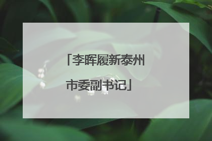 李晖履新泰州市委副书记