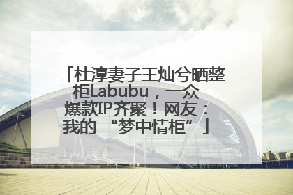 杜淳妻子王灿兮晒整柜Labubu，一众爆款IP齐聚！网友：我的 “梦中情柜”