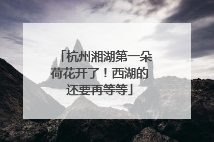 杭州湘湖第一朵荷花开了！西湖的还要再等等