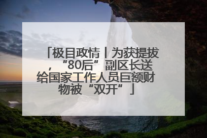 极目政情丨为获提拔，“80后”副区长送给国家工作人员巨额财物被“双开”