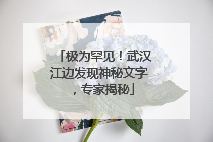 极为罕见！武汉江边发现神秘文字，专家揭秘