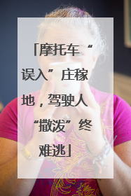 摩托车“误入”庄稼地，驾驶人“撒泼”终难逃