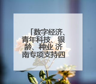 数字经济、青年科技、银龄、种业 济南专项支持四个细分领域人才队伍建设