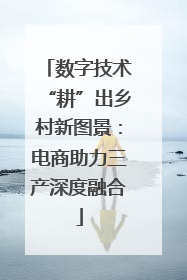 数字技术“耕”出乡村新图景：电商助力三产深度融合