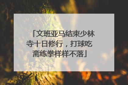 文班亚马结束少林寺十日修行，打球吃斋练拳样样不落