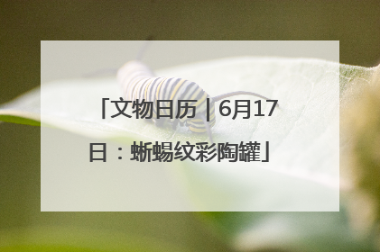 文物日历｜6月17日：蜥蜴纹彩陶罐