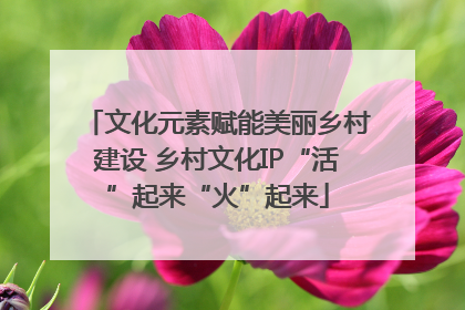 文化元素赋能美丽乡村建设 乡村文化IP“活”起来“火”起来