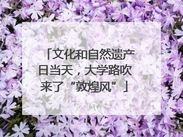 文化和自然遗产日当天，大学路吹来了“敦煌风”