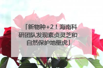 新物种+2！海南科研团队发现素贞灵芝和自然保护地壁虎