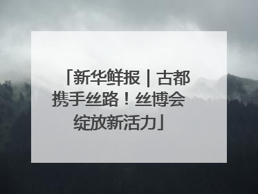 新华鲜报｜古都携手丝路！丝博会绽放新活力
