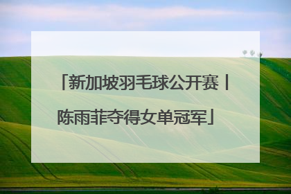 新加坡羽毛球公开赛丨陈雨菲夺得女单冠军