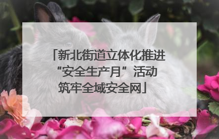 新北街道立体化推进“安全生产月”活动 筑牢全域安全网