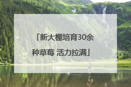 新大棚培育30余种草莓 活力拉满